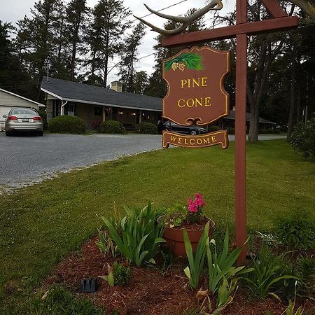 Pinecone Motel Sussex Exterior photo