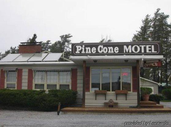 Pinecone Motel Sussex Exterior photo