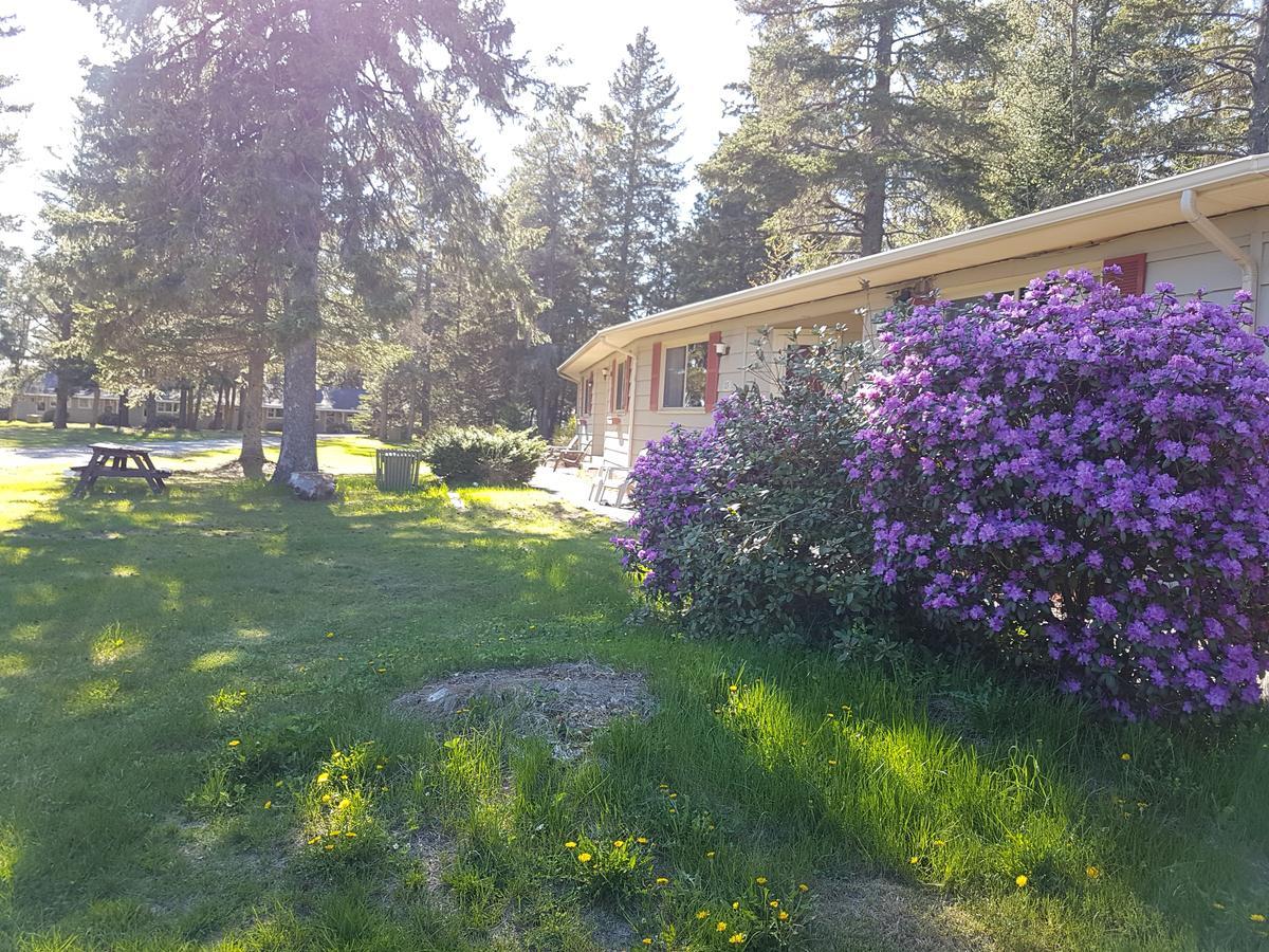 Pinecone Motel Sussex Exterior photo