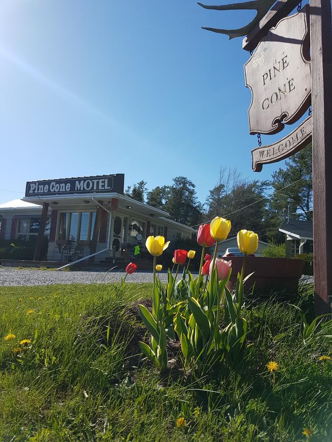 Pinecone Motel Sussex Exterior photo