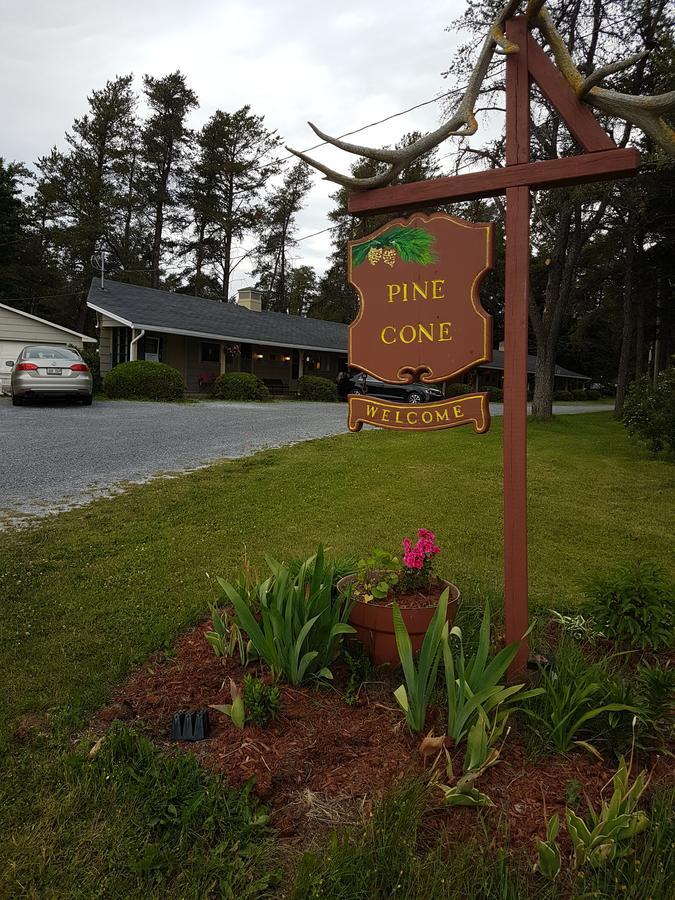 Pinecone Motel Sussex Exterior photo