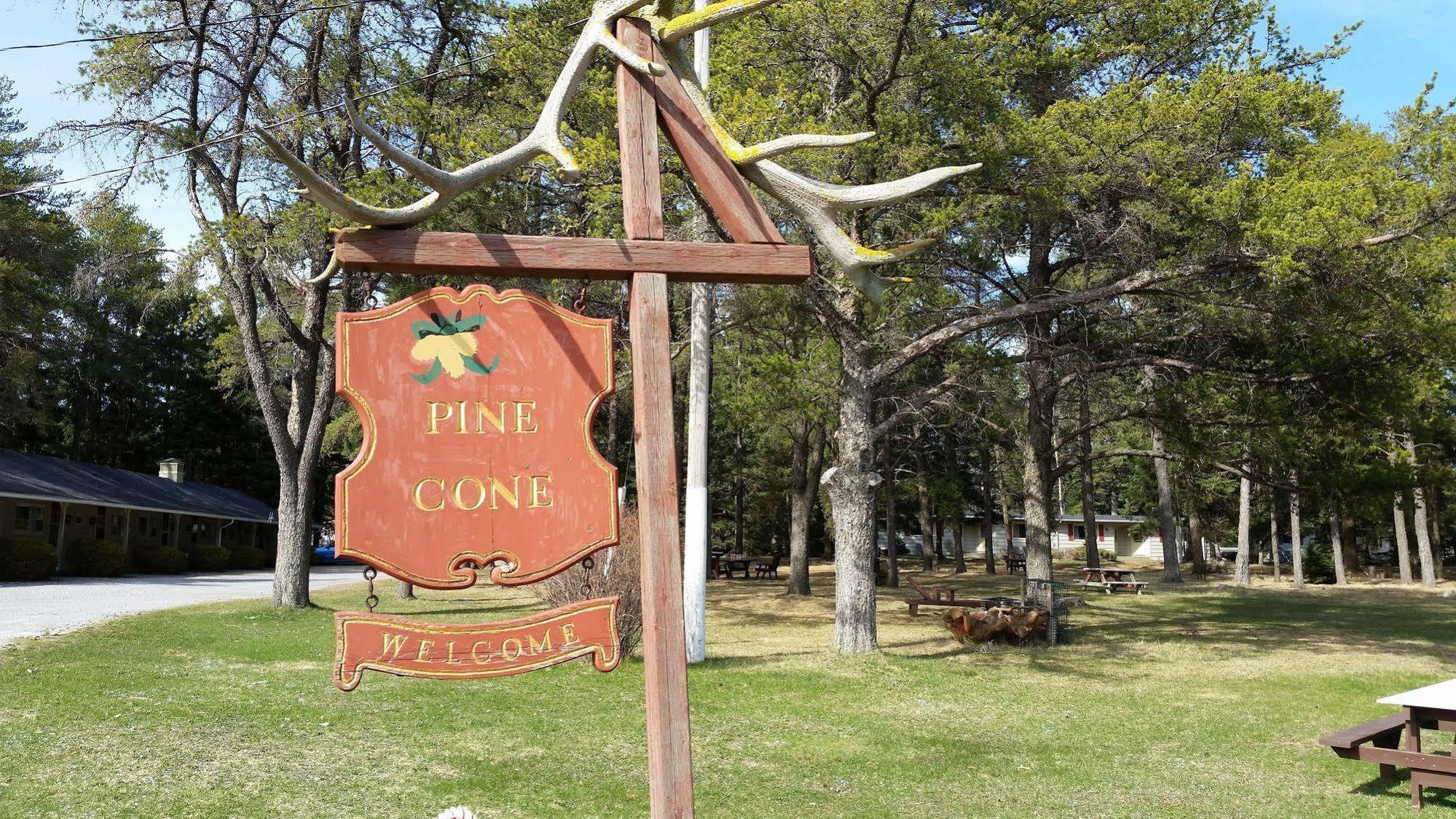 Pinecone Motel Sussex Exterior photo