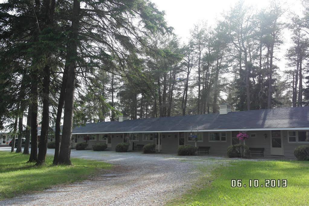 Pinecone Motel Sussex Exterior photo