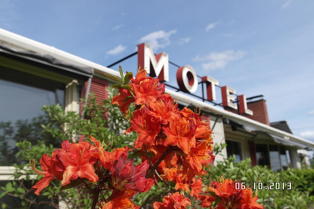 Pinecone Motel Sussex Exterior photo