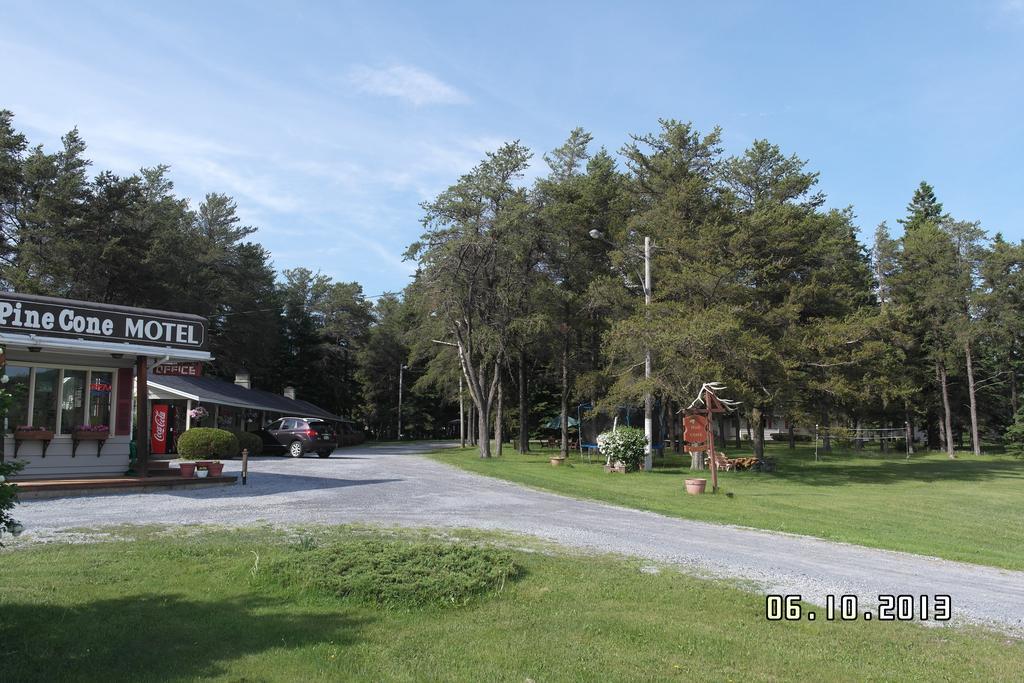 Pinecone Motel Sussex Exterior photo